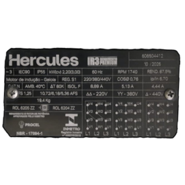 MOTOR MS 90 4P 3CV 4T 60 3F 55 B3D-S 606504412 104.198