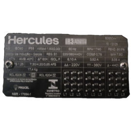 MOTOR MS 90 4P 2CV 4T 60 3F 55 B3D-S 606504411 104.201