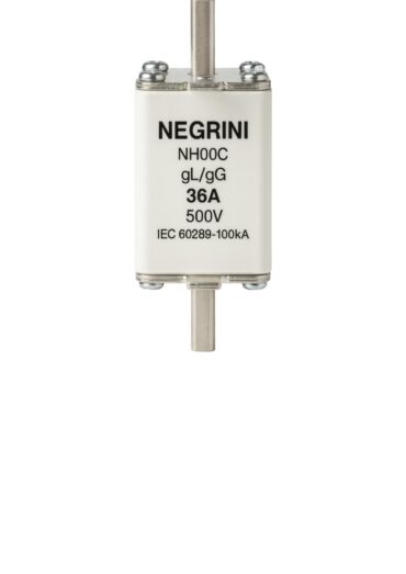 FUSIVEL NH00 36A GL/GG 500V 106.010