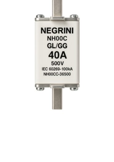 FUSIVEL NH00 40A GL/GG 500V 106.011