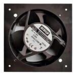 WhatsApp Image 2025 06 30 at 08.26.51