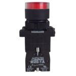 Design sem nome (49)